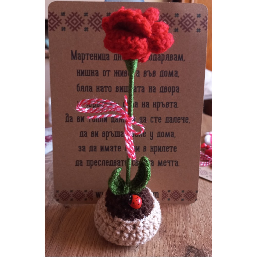 Плетен карамфил в саксия и калинка
